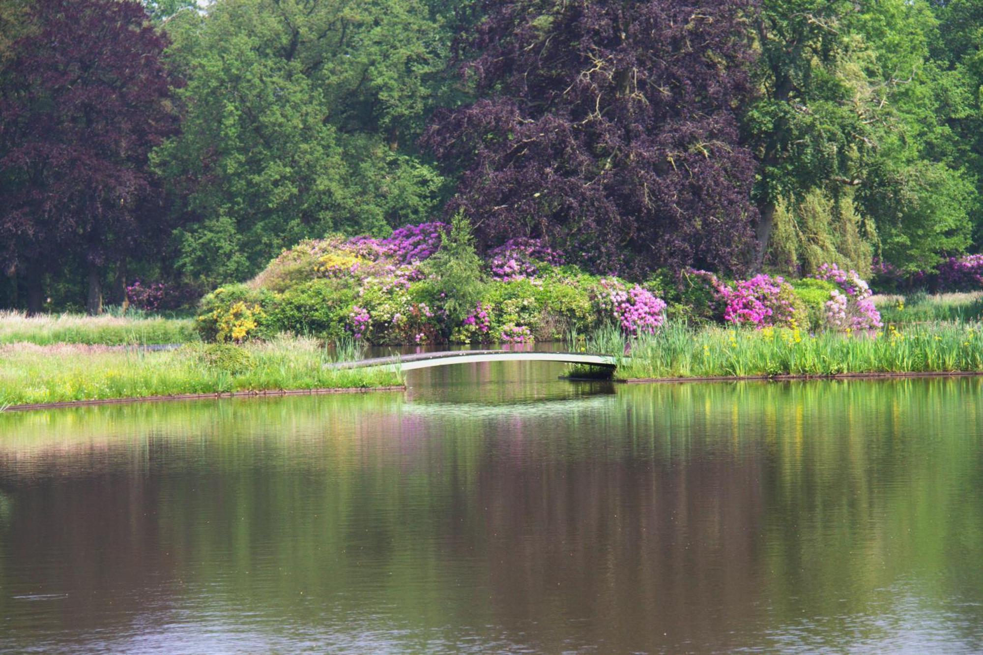B&B Kasteel Den Tip Arendonk ภายนอก รูปภาพ